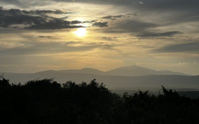 Safari in Tanzania and Chilling on Zanzibar